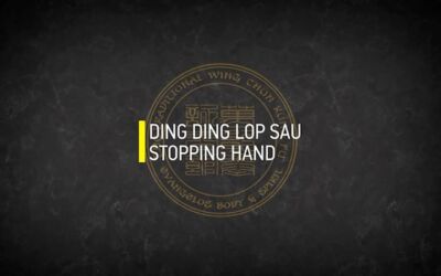 DING DING LOP SAU STOPPING HAND A3